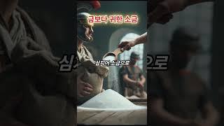 금보다 귀했던 고대시대 소금