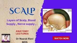 Scalp /Layers of Scalp / Blood Supply /Nerve Supply / Anatomy Lectures