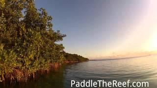 Kayaking Indian Key at Sunset in The Florida Keys