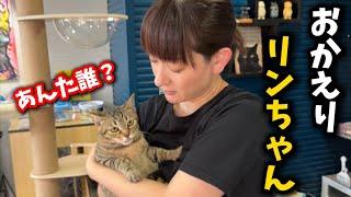 Rin-chan, whose owner died alone, has returned