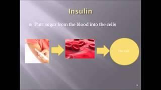 What is Diabetes: The Basics