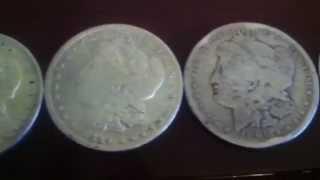 16 Morgan silver dollars for sale in Denver coin collection