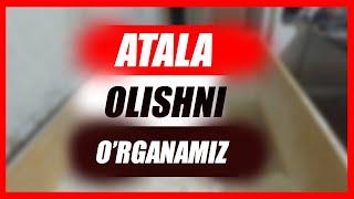 NOVVOYCHILIK SIRLARI / ATALA OLISHNI O'RGANAMIZ