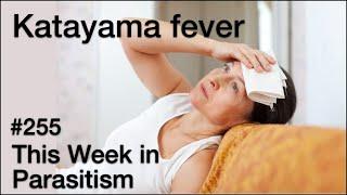 TWiP 255: Katayama fever