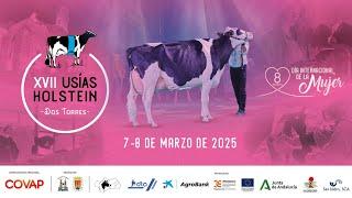 Directo XVII Concurso morfológico Usías Holsteins (2ª parte) – vacas