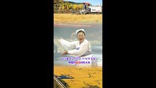 콱콱 먹어라~ 延边绿色大米 大口大口米西吧~