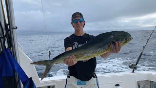 Mahi MADNESS + tuna! (offshore overnighter pt. 2) [New Species]