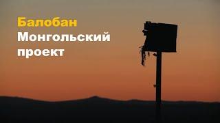 Сокол-балобан. Монгольский проект по установке искусственных гнезд 2010