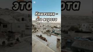 Кожа и кишечник #псориаз #псориазлечение #психосоматика #гипнотерапия