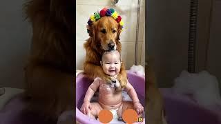 Mr.Doggy funny #shortvideo #funny #comedy #doggy