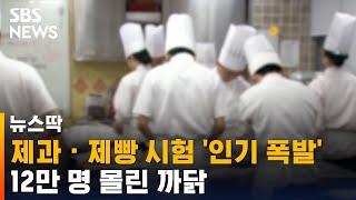 제과 · 제빵 시험에 12만 명 몰렸다…인기 폭발한 이유 / SBS / 뉴스딱