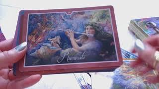 Traceyhd's Review Of  The Whispers Of Healing Oracle Cards