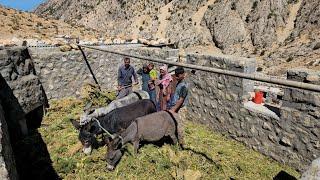 IRAN nomadic life | Nader and his family emptied their caper and prepared the household items