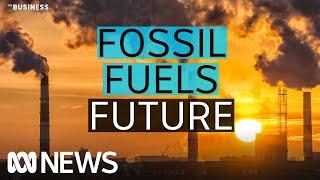 Oil and gas still has a future after 2050, Woodside boss says | The Business | ABC News