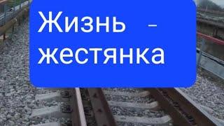 Житуха