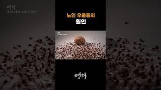노인 우울증의 원인