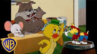 Tom & Jerry | Kids, It's Time to Shine!  | World Children's Day | @wbkids​