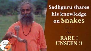 Sadhguru shares his knowledge on SNAKES | Sadguru Isha