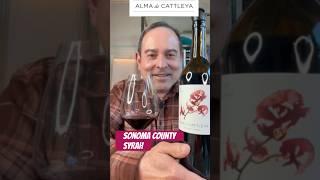 Alma de Cattleya Sonoma County Syrah '23 93 Points #syrah #sonoma #shorts