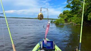 I Can't Believe This Lure Worked - Florida Everglades Epic Kayak Fishing!!