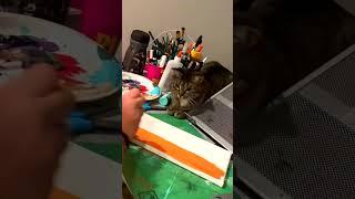 Мы с котярой ходим парой #смешно #юмор #кошки #cat #animals #кот #смешныекошки