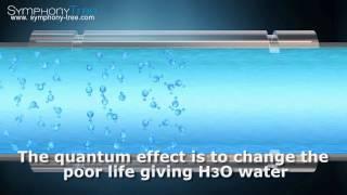 Quantum BioEnergy Water increases water absorb-ability