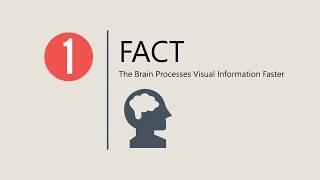 Infographic Video | Infographic Animated Explainer Video | by Western Hill Productions