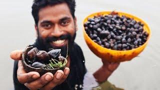 കക്ക ഒരു ചെറിയ മീൻ അല്ല | Clam Fishing And Cooking | മുങ്ങി നോക്കണം| കഴിച്ചു കാട്ടണം |