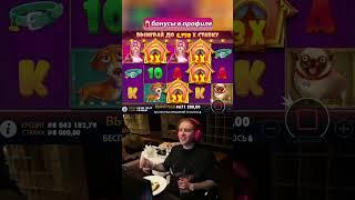 Егор Крид поймал вкусную бонуску в The Dog House  #егоркрид #казино