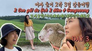 [한국여행] 여자 둘이 강릉 2박3일/아이스크림 호떡/서리태라떼/양떼목장 2 con gái ở Gangneung, Ho teok kem, Latte đậu đen, con cừu