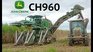 John Deere CH960 Cane Harvester in Louisiana 4K