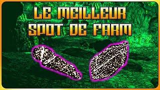 Guide Dark Souls 2 Farm Éclats de Titanite et Grands Fragments de Titanite [Le MEILLEUR Spot]