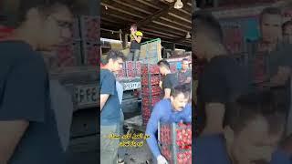 حق العمل کاری میدان تره بار تهران.   #سیر#پیاز#گوجه#سیب_زمینی#انبه#خیار#صادرات#کاهو#اناناس#