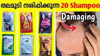 മുടി കോഴിച്ചിലുള്ളവർ MUST WATCH | Worst to Best Shampoo | Strong thick hair