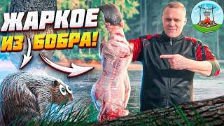 ЖАРКОЕ ИЗ БОБРА! ПРАВИЛЬНАЯ РАЗДЕЛКА БОБРА! Roast from beaver! CORRECT CUTTING OF THE BOB!