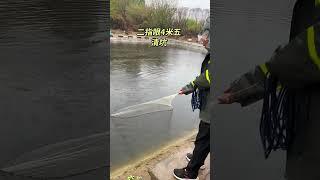 best fish catching videos #fishing #fish #net #fishcutting