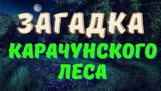 ЛЕСНОЕ КАПИЩЕ/ Страшные истории про лесные капища/ Деревенские страшилки