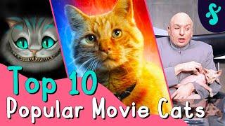 Top 10 Popular Movie Cats | Furry Feline Facts  