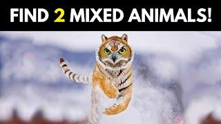 Guess 2 Animals Mixed In One Picture Puzzle! | Hybrid Animals Game