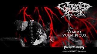 CUTTERRED FLESH (Czech Republic) - Vibrio Vulnificus OFFICIAL VIDEO (Brutal Death Metal)