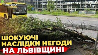 ️ На Львівщині ліквідують наслідки негоди | ПравдаТУТ Львів