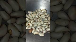 #jackfruitseeds #shortvideo