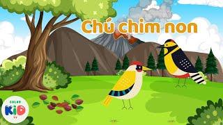 Chú chim non  Nhạc thiếu nhi sôi động | Color Kids TV | Nhạc thiếu nhi vui nhộn