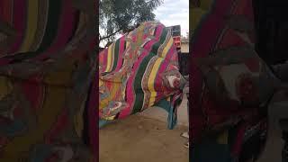 Ansh dj Abhi Rock Azamgarh #punjabisong #song #music