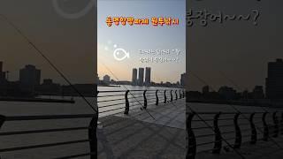 #동명항방파제 #원투낚시 #낚시 #낚시여행 #속초여행 #속초
