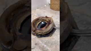 fixing a toilet with a bad wax seal