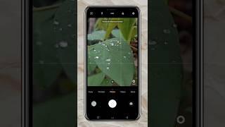 Close up photography | Macro photography without a lens #shorts