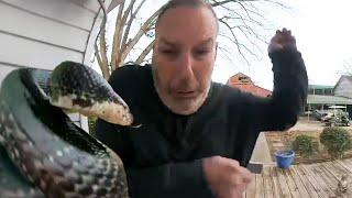 Snake Jump Scares Man!  Best Funny Videos of the Week