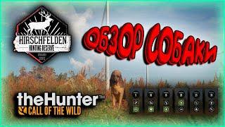 The Hunter Call of the Wild.ОХОТНИЧЬЯ СОБАКА ОБЗОР СОБАКИУМЕНИЯГОРЯЧИЕ КЛАВИШИНЕМНОГО НОВОСТЕЙ