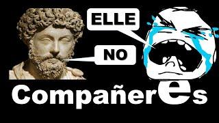 Compañeres, dignidad personal y la necesidad del estoicismo en los jóvenes